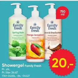 BigDollar Showergel Family Fresh tilbud