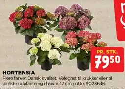 jem & fix Hortensia tilbud