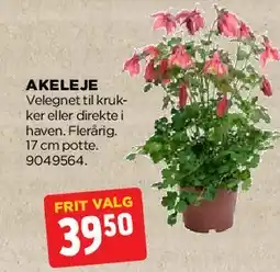 jem & fix Akeleje tilbud