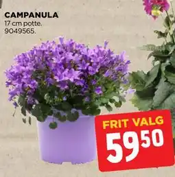 jem & fix CAMPANULA tilbud