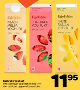 Netto Egelykke yoghurt (karton) tilbud