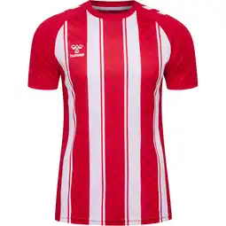 Sport 24 hummel Match Striped Trænings T-shirt Herre tilbud
