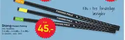 BigDollar Stang Fladen Fishing tilbud