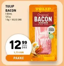 Scandinavian Park TULIP BACON tilbud