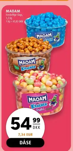 Scandinavian Park MAOAM tilbud