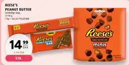Scandinavian Park REESE’S PEANUT BUTTER tilbud