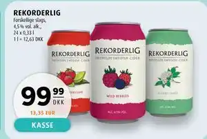 Scandinavian Park REKORDERLIG tilbud