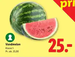 Lidl Vandmelon tilbud