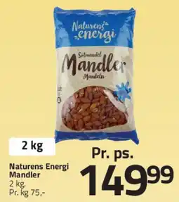 Fleggaard Mandler tilbud