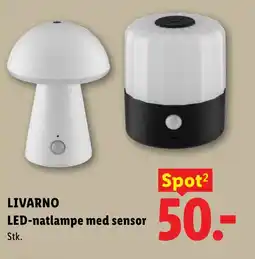 Lidl LIVARNO LED-natlampe med sensor tilbud