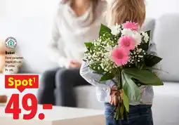 Lidl Buket tilbud
