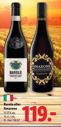 Lidl Barolo eller Amarone tilbud