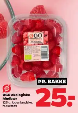 Netto ØGO økologiske hindbær tilbud