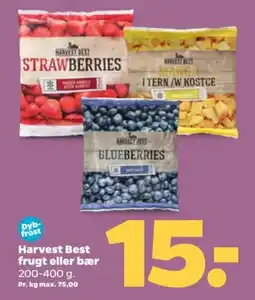Netto Harvest Best frugt eller bær tilbud