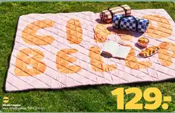Netto Picnictæppe tilbud