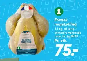 Bilka Fransk majskylling tilbud