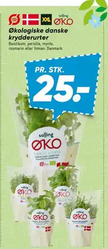 Bilka Økologiske danske krydderurter tilbud