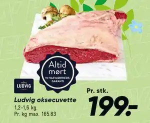 Bilka Ludvig oksecuvette tilbud
