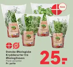 SPAR Danske økologiske krydderurter tilbud