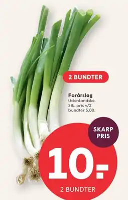 SPAR Forårsløg tilbud