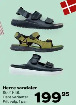 Kvickly Herre sandaler tilbud