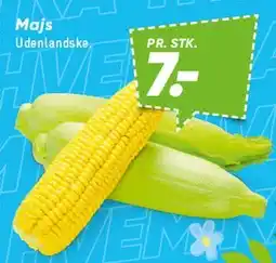 Bilka Majs (majskolbe) tilbud