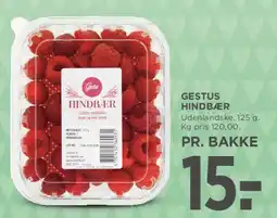 MENY Gestus hindbær tilbud