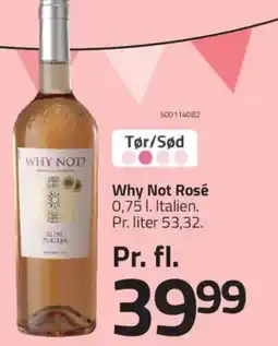 Fleggaard WHY NOT Rosé . tilbud