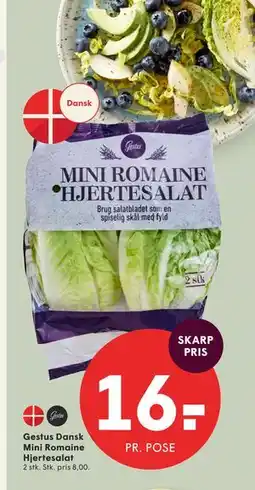 SPAR Gestus Dansk Mini Romaine Hjertesalat tilbud