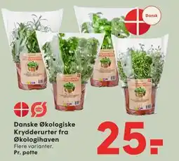 SPAR Danske Økologiske Krydderurter fra Økologihaven tilbud
