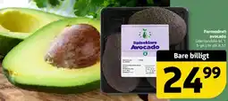 Løvbjerg Formodnet avocado tilbud