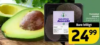 Formodnet avocado