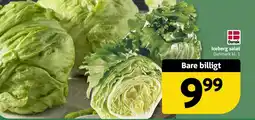 Løvbjerg Iceberg salat tilbud