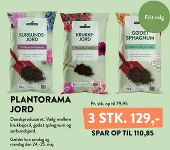 PLANTORAMA JORD