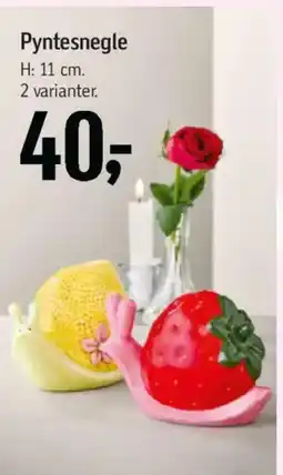 Føtex Pyntesnegle tilbud