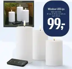 Føtex Windsor LED-lys tilbud