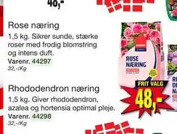 Harald Nyborg Rose næring tilbud