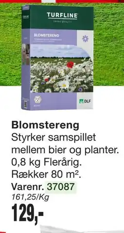 Harald Nyborg Blomstereng tilbud