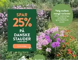 Plantorama SPAR 25% PÅ DANSKE STAUDER tilbud