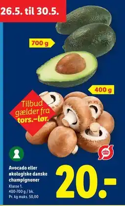 Lidl Avocado eller økologiske danske champignoner tilbud