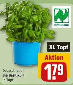 REWE DE Deutschland: Bio Basilikum tilbud