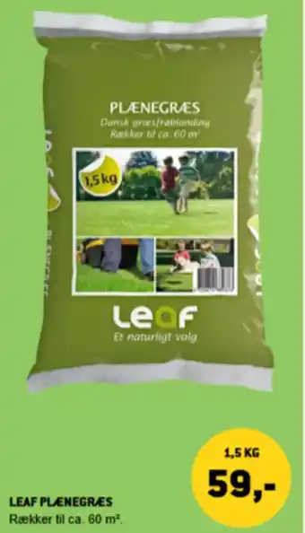 XL-BYG Leaf plænegræs tilbud