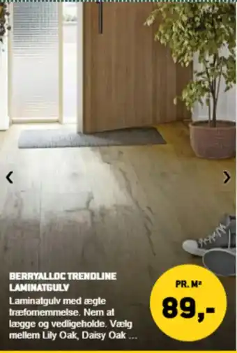 XL-BYG Berryalloc trendline laminatgulv tilbud