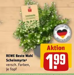 REWE DE REWE Beste Wahl Scheinmyrte tilbud