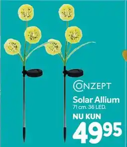 Din Isenkræmmer Solar Allium tilbud