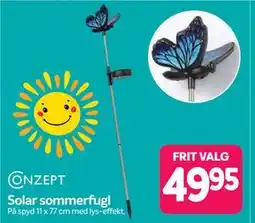 Din Isenkræmmer Solar sommerfugl tilbud