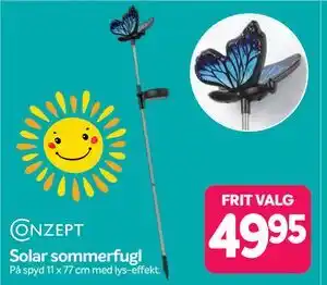 Din Isenkræmmer Solar sommerfugl tilbud