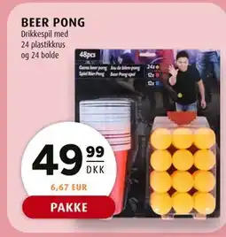 Scandinavian Park BEER PONG tilbud