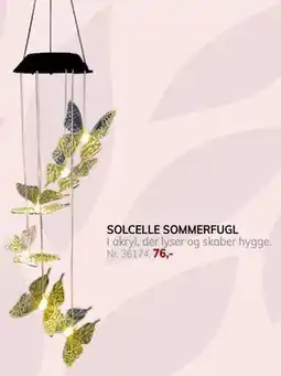 Daells Bolighus SOLCELLE SOMMERFUGL tilbud