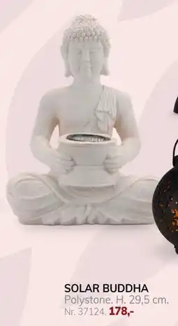 Daells Bolighus SOLAR BUDDHA tilbud